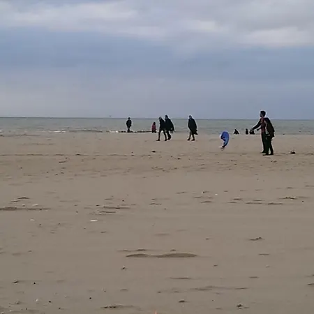 Mambo At The Beach * Haag